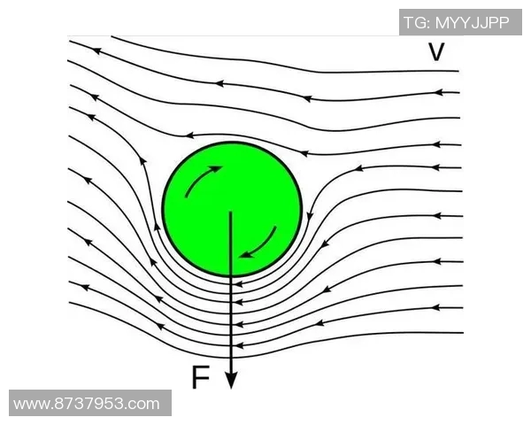 西安乒乓球队进攻体系解析与战术创新探讨